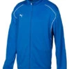 Puma Performance Training Youth Jacket