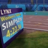 Lynx Video Display Boards