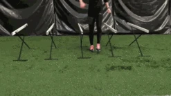 VS Adjustable Training Hurdle